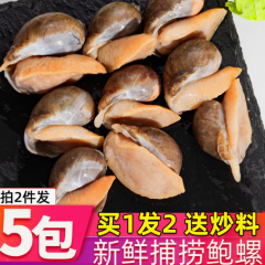 老婆脚鲜活急冻鲍螺老婆脚大号有黄鲍鱼螺海鲜水产黄金鲍新鲜澳鲍