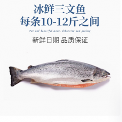 一整条挪威冰鲜三文鱼10-12斤 新鲜生鱼片即食海鲜刺身鲑鱼