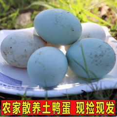 新鲜鸭蛋30枚青壳土鸭蛋农家散养新鲜生鸭蛋青皮白皮绿壳鸭蛋包邮
