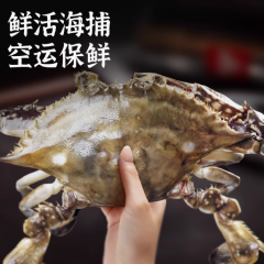 梭子蟹鲜活特大舟山大螃蟹海鲜新鲜冷冻海蟹水产飞蟹白蟹顺丰红膏