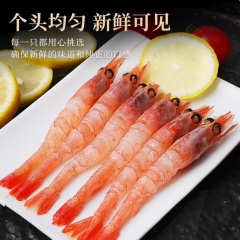 北极甜虾刺身生吃俄罗斯海鲜鲜活超特大冰虾牡丹新鲜日料甜虾即食