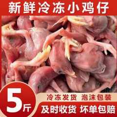 冷冻小鸡仔脱毛小鸡猫咪生骨肉营养冻干狗粮宠物零食蛇鹰甲鱼鳄龟