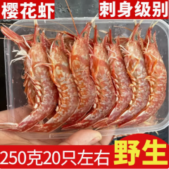 樱花虾野生海捕新鲜鲜活刺身甜虾特大号海虾生腌活冻樱花虾鲜活